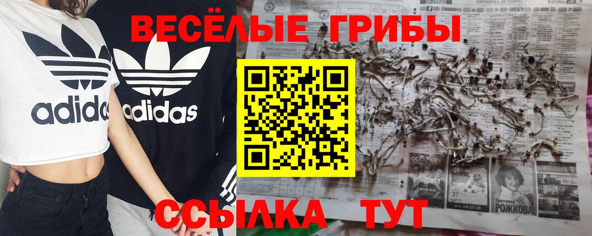 дарнет шоп  Псилоцибиновые грибы мицелий  Галлюциногенные грибы мухоморы  Вход с VPN  Кропоткин 